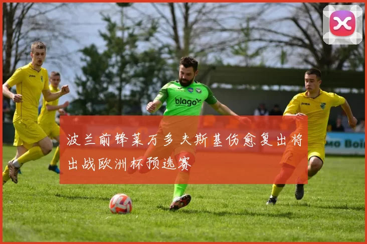 波兰前锋莱万多夫斯基伤愈复出将出战欧洲杯预选赛