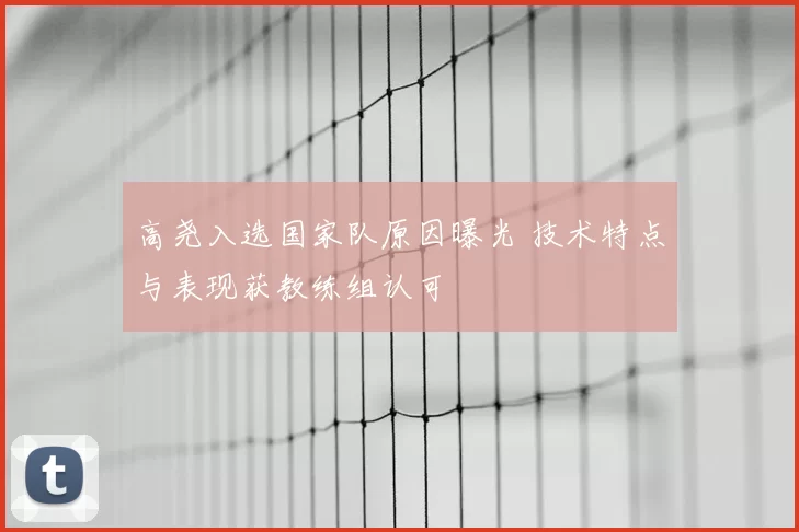 高尧入选国家队原因曝光 技术特点与表现获教练组认可