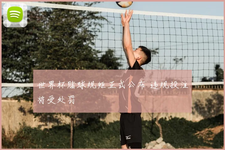 世界杯赌球规矩正式公布 违规投注将受处罚