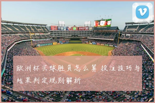欧洲杯买球胜负怎么算 投注技巧与结果判定规则解析