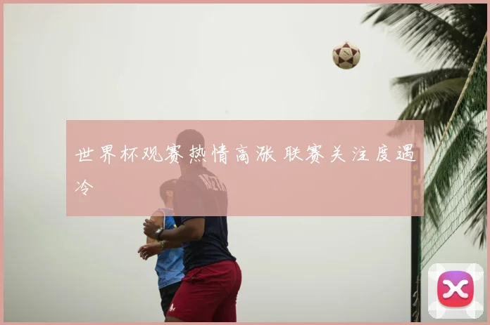 世界杯观赛热情高涨 联赛关注度遇冷