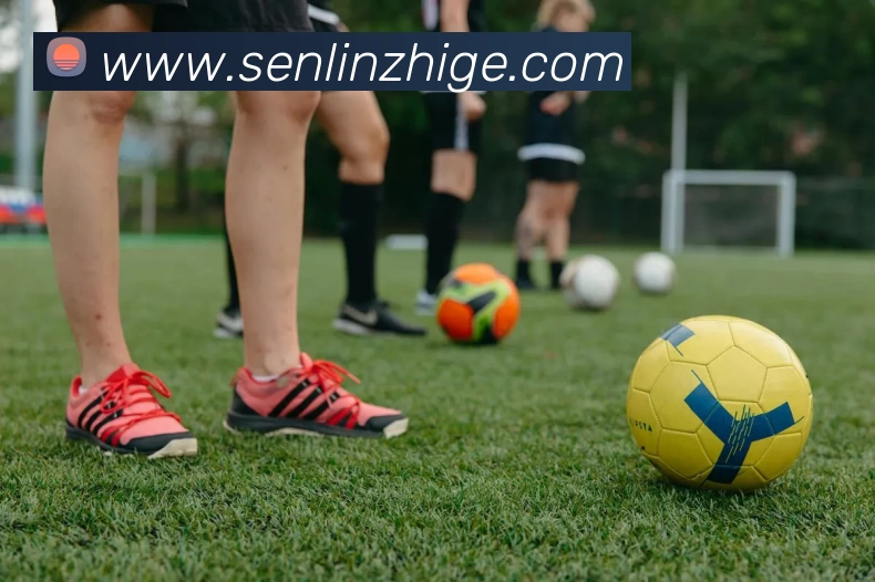 奥运会落选赛直播平台公布中国男篮赛程时间对阵球队信息